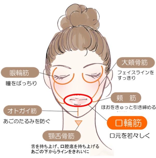 お顔の運動もしてみましょう ウイング公式サイト
