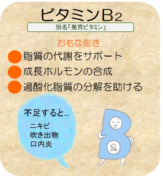 ビタミンのおはなし ビタミンb ウイング公式サイト